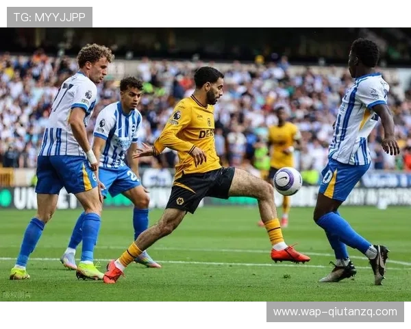 利用6686足球官网的丰富内容资源，提升你的足球知识和比赛理解能力