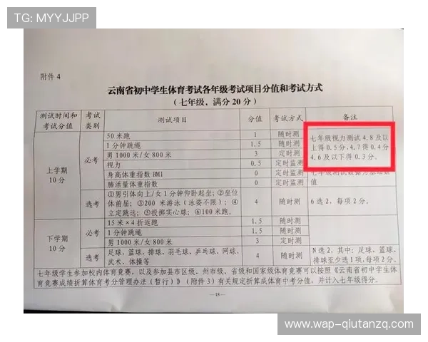 333体育数字站的优势分析：为什么成为体育爱好者首选的数字平台